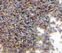 Lavender Flower Buds #1 - Uses - Culinary & Crafting - 4oz