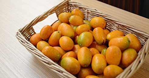 Tang Store 3 Pounds (lbs) of Fresh Oval Kumquats Farm Grown in Southern California