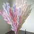 Artist Unknown 5PCS/35-40CM Zamihalaa Natural Dried Orange Leaves Preserved Lily Flowers Bouquet,Dracaena Reflexa