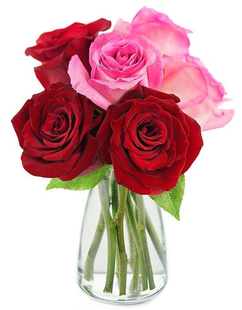 KaBloom - 6 Red and Pink Roses with vase - Fresh Flowers