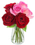 KaBloom - 6 Red and Pink Roses with vase - Fresh Flowers