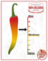 Jersey Girl Sizzlin' No Sodium/Salt Free Hot Sauce, 5oz (Spicy), Made with Scorpion & Ghost Pepper