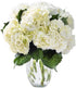 6 KaBloom - White Hydrangea Bouquet - Stem Beauty - Fresh Flowers for Birthday, Valentine's & Mother's Day