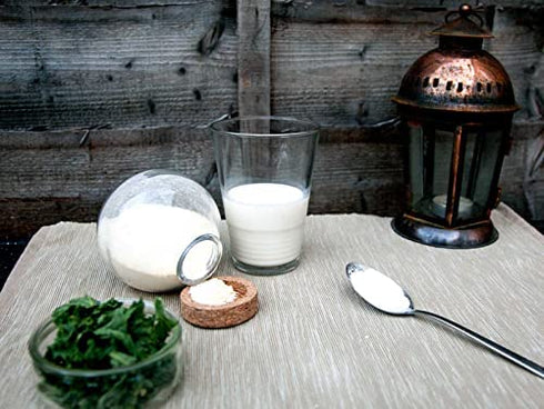 (6 Turkish Kefir Starter Dehydrated & Powdered Milk Kefir Active Probiotic Cultures Starter - No Maintenance - Powder