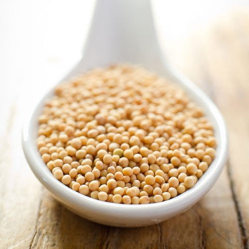 24 oz Spiceology Whole Yellow Mustard Seed Pungent, Earthy & Tangy Flavor Perfect for Pickling, Brines, Spice Blends