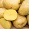 Gurney's Seed & Nursery Company Yukon Gold Seed Potato - Best Early Eating Potato on The Market