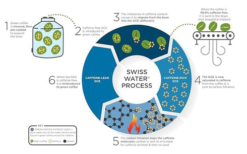 40 Artizan Coffee Decaf Organic Swiss Water Espresso Pods for Nespresso Original | Heavenly Project | Compostable