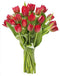 KaBloom - 15 Red Tulips Without Vase - Fresh Flowers for Birthday,