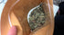 Generic 1 oz (30 Package grams) Organic Ficus carica leaves, Dried smashed Fig Leaves for Tea or infusion by Tang Store
