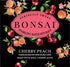 Bonsai 12 oz 8 pack Cherry Peach Sweetened Sparkling Water, fl cans