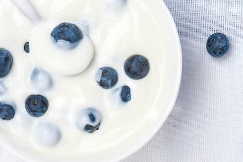 1 Birch & Meadow Gallon of Yogurt Powder, Nutritious, From Non-fat Dry Milk