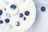 1 Birch & Meadow Gallon of Yogurt Powder, Nutritious, From Non-fat Dry Milk