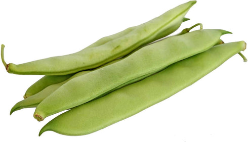 100 Count Pack Country Runner Bean Seeds - Seed -Edible Beans with Colorful Blooms - Creek LLC
