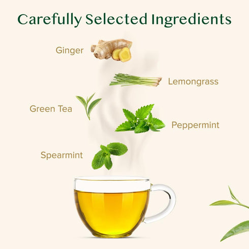 (100 Count) VAHDAM, Ginger Mint Green Tea Bags High Grown Green Tea with Raw Ginger | Medium Caffeine | Non GMO, Gluten