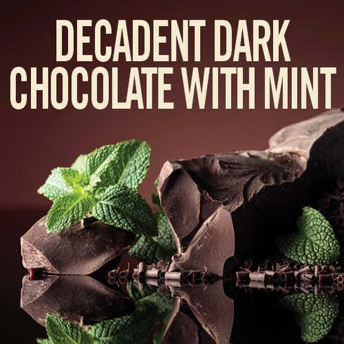 14 oz (Pack 2) Castle Kitchen Marvelous Mint Dark Chocolate Hot Chocolate - Dairy-Free, Vegan Premium Hot Chocolate Mix