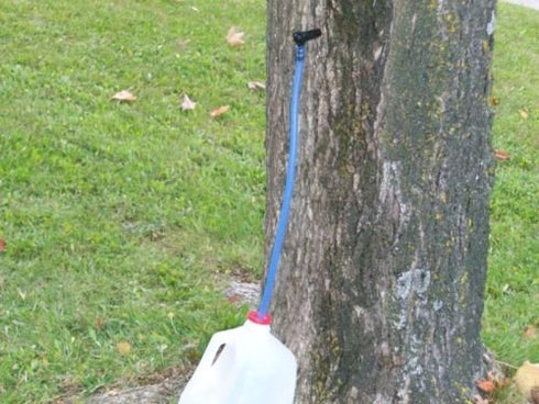 3 Maple Sap Ecolo Spouts with 2 ft. Blue Drop Lines, Spile, Tap, Syrup