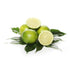 4 Terpeneless Lime Extract - Tart Citrus Flavor for Cakes - Cookies - Icing - Filling - Terpeneless - PG Free - Non-GMO