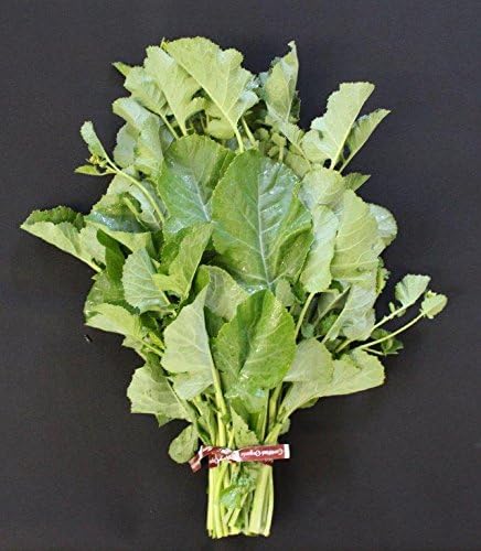 Mustard and Co. (5000) Ethiopian Kale Seed,AKA liki liki, Amara Mustard Green, Highland Kale, Abyssinian Mustard