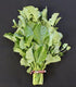 Mustard and Co. (5000) Ethiopian Kale Seed,AKA liki liki, Amara Mustard Green, Highland Kale, Abyssinian Mustard