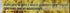 Sujata 100% 20 Pound(LB) , Gold Atta - Sherbati Whole Wheat Flour