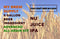 Nu Juice IPA Clone Advance Home Brew 5 Gallon All Grain Beer