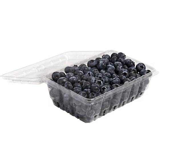 Generic Blueberries, 18 oz.