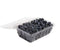 Generic Blueberries, 18 oz.