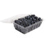 Generic Blueberries, 18 oz.