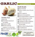 Luvafoodie Pack Four Garlic Lovers Spice Blend