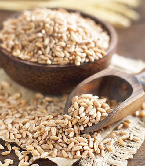 (6 Unpretentious Whole Spelt Flour, Light & Airy Flour, From Dehulled Spelt Berries Pound)