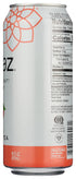 16 OZ (Pack 12) Steaz Organic Lightly Sweetened Iced Green Tea, Peach, FL