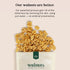 California Skinless Walnuts - Non-GMO, Naturally Sweet & Bitter-Free