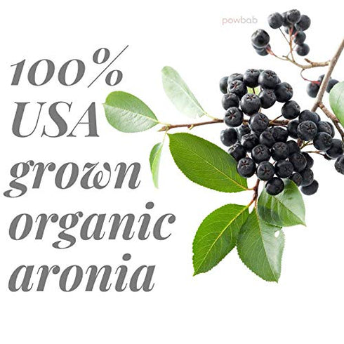 powbab Dried Aronia Berries, 100% USA Grown Organic Chokeberry, No Added Sugar, Whole Black Chokeberry (6.5 oz)
