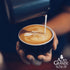2 (Pack 1) Alto Grande Super Premium Coffee Beans, Medium Dark Roast, Single Origin, Puerto Rico Arabica, Whole Bean