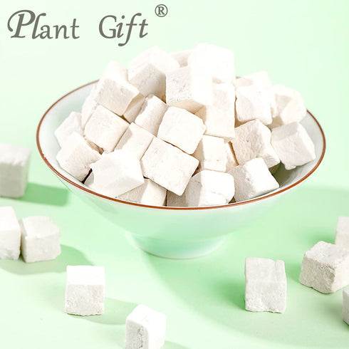 Plant Gift 100% 100G/3.25oz Pure Poria Cocos Powder Natural Poria Cocos Flour, Great Flavor for Drinks, Adds Flavor