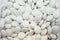 Bayside Candy White Mint Lentils - White Mini Pastel Chocolate Mint Lentils