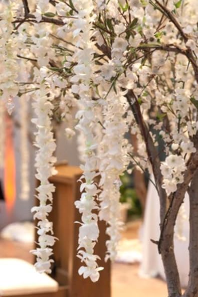 (50 FRESH CUT FLOWERS Orchid Loose Bloom OrchidClub USA by Sunne Tropical DIY Lei, food & drink decoration White)