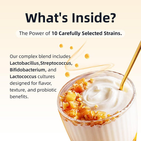 Chuanxiu 10 Yogurt Starter Culture with Types of Danish Probiotic Strains, Plain Yogurt Powder, High Activity