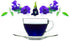 Wild Hibiscus Blue-Tee 100% Pure Butterfly Pea Flower Tea - 1.1 oz