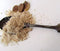 Whiskey Smoked Irish Sea Salt from the Salts of the Earth Collection