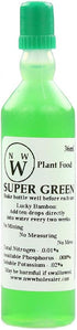 4" NW Wholesaler - Live Lucky Bamboo Straight Stalks and Bottle of Super Green Fertilizer -, Feng Shui Plant, Indoor