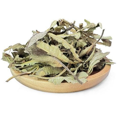 1 NY SPICE SHOP Whole Yerba Santa Leaf - Pound Raw Yerba Santa Leafs Tea (Loose) - Pure Loose Leafs for Hi Caf Tea