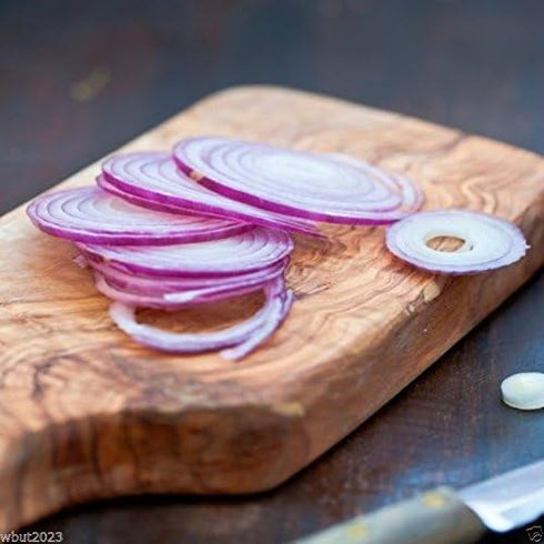 (2,000 Red Burgundy Onion Seed ) Organic Long Day Onion-plant Spring-fall !