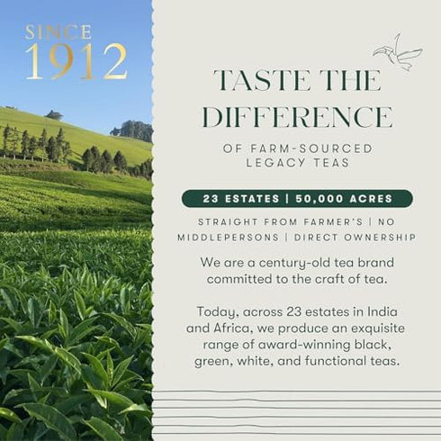 50 (100g/3.5oz) Pack Luxmi Estates - Valerian Dream Tea - Organic Valerian Root Chamomile for Sleep, Tea Bags | Bulk