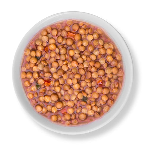 15.2 oz (Pack 1), Verde Valle Original Recipe Lentil Soup Fresh Ready to Eat of Authentic Mexican Prepared Meal, Sopa