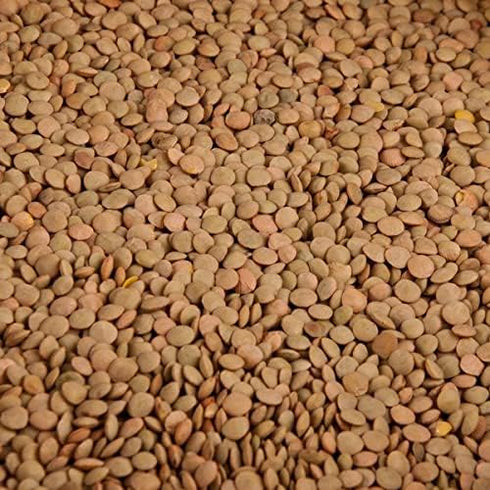 Generic 10 LBS DRIED LENTILS Beans | (Pounds) | USA Grown | Bulk Wholesale Supply