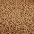 Generic 10 LBS DRIED LENTILS Beans | (Pounds) | USA Grown | Bulk Wholesale Supply