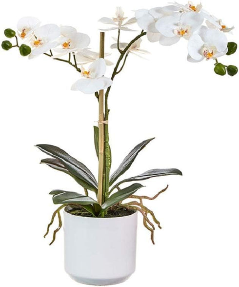 RAZ Imports 4002179 Reclaimed Elegance Real Touch Potted Orchid, 18.25-inch High, Polyester