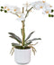 RAZ Imports 4002179 Reclaimed Elegance Real Touch Potted Orchid, 18.25-inch High, Polyester
