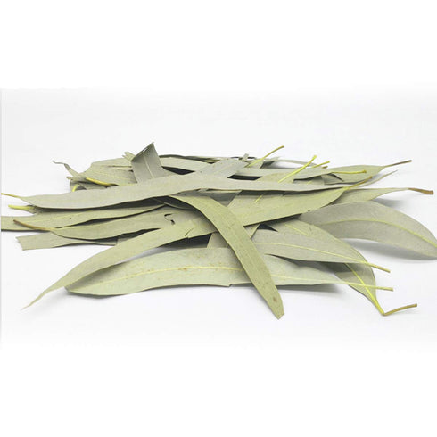 Whole Eucalyptus Leaves, Natural Eucalyptus Herb Leaves, 114g (4.0 oz) for Aromatherapy and Crafts